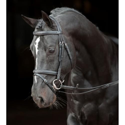 Foto von Covalliero Trensenzaum Classic Leder, schwarz, Cob