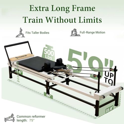 View 4