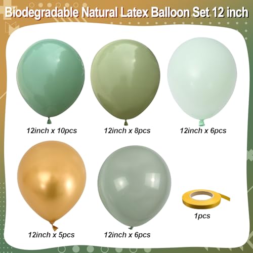 Image of Sage Green and Gold Balloons, Pastel Sage Gold Party Balloons, Eucalyptus Olive Mint Green Balloon for Baby Shower Birthday Engagement Wedding Anniversary Tea Party Round Boho Decorations