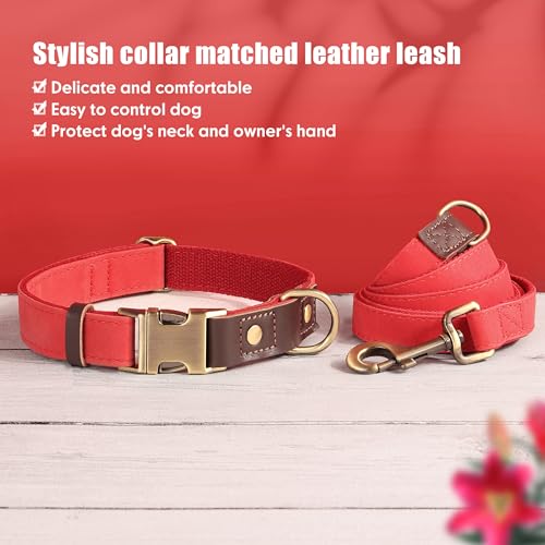Didog Weich gepolstertes Lederhalsband für mittelgroße Hunde, klassisches Hundehalsband mit Metall-Schnellverschluss, verstellbar, mittelgroß, Kunstleder, Rot, M