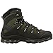 Salomon Men's Quest 4D 2 GTX Backpacking Boot, Iguana Green/Asphalt/Dark Titanium, 10 M US