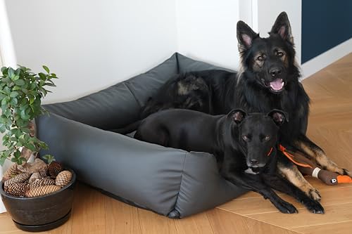 4L Textil Mario Wasserfestes Hundebett Aus Kunstleder - Hundekorb für Große und Mittelgroße Hunde - Hundesofa XXL Hundekissen (120x90x25 cm, Graphit)