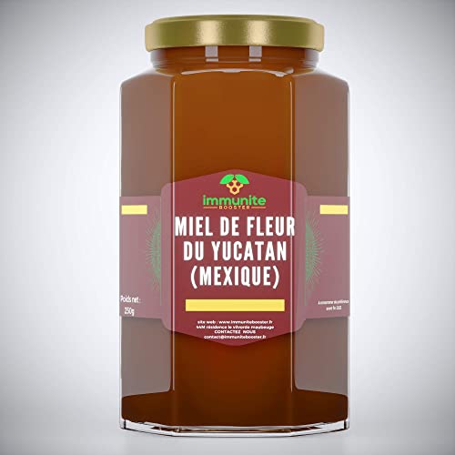Miel de fleur du Yucatan (Mexique) BIO- 500g poids net - Miel rare - vertues immenses - 100% naturel - immunite BOOSTER Cover