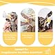 Gufastoe 5Pcs Haustier Fütterung Mini Silikon Nippel mit Flasche für Welpen Hund Katze oder andere Haustiere (Modell 4)