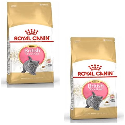 Royal Canin British Shorthair Kitten | Doppelpack | 2 x 400 g | Trockenfutter für BKH Kätzchen Cover