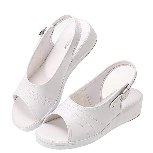 [i[X[] i[XT_ tbg^Cv y 165g E^tH[ obNSdl fB[X  Ō  2E LL zCg 9810401A