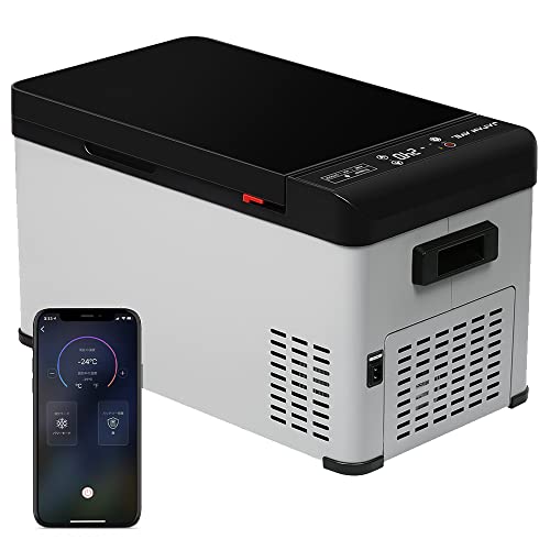 送料込　サニーデイ・サービス  冷し中華 EP   12インチレコード　新品 サニーデイ・サービス『冷し中華 EP』アナログ盤12inch発売日