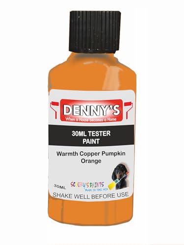 Premium Interior Wall & Furniture Chalk Paint – Warmth Copper Pumpkin Orange – Rich Matt Finish, Durable & Washable, Low Odour, Ideal for Living Rooms, Bedrooms & Hallways (30ML Tester Bottle)