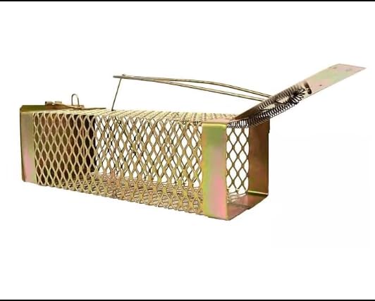Mouse Trap CAGE/Rat Trap CAGE/Rat Houses/Mouse Catcher/Iron Rat Trap/Bait for Rats/Mouse Catcher/Rat Trap for Big Rats/CHUHA PAKADNE KA PINJARA-image-40