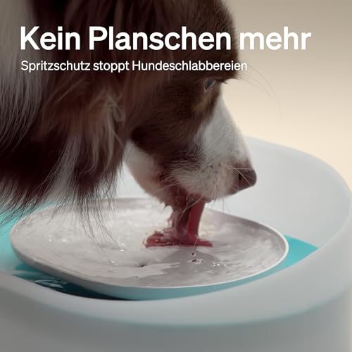 PETLIBRO Trinkbrunnen für Hunde und Katze, 8L Wasserbrunnen, Anti-Spill Guard,Hundewasserspender 26dB Leise, Einfacher Einbau und Ausbau zur Reinigung, Geeignet für große Hunde/mehrere Katzen