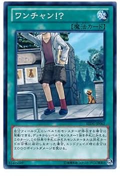 Amazon.co.jp: 遊戯王OCG ワンチャン!? ノーマル REDU-JP062