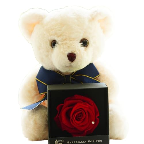 IPFA vU[uht[ XC[g xr[xA (zCgxA/{) with [Y{bNX N}  ʂ v[g Mtg j o a j ސEj oYj җ  t[