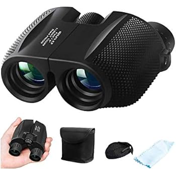 see through binoculars