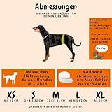 Alpenstern® Wiederverwendbare Hundewindeln für Hündinnen (3 Stück) Waschbare Läufigkeitshose für Hündinnen bei Inkontinenz & Läufigkeit - Hundehöschen Hunde Windel - Hygienisch & Saugstarker Stoff