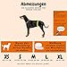 Alpenstern® Wiederverwendbare Hundewindeln für Hündinnen (3 Stück) Waschbare Läufigkeitshose für Hündinnen bei Inkontinenz & Läufigkeit - Hundehöschen Hunde Windel - Hygienisch & Saugstarker Stoff