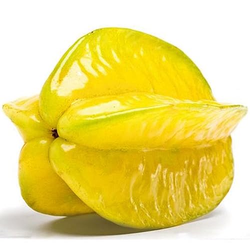 50 Unids Thai Star Fruit Seeds Juicy Carambola Semillas de árboles exóticos Alta germinación para plantar en el jardín