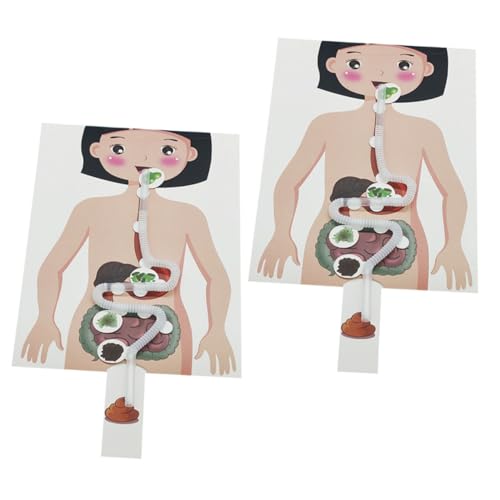 LIOOBO de Sistema Digestivo para 2 Juegos Educativos para Niños Kit de Manualidades Juguete para Digestión LIOOBO de Sistema Digestivo para 2 Juegos Educativos para Niños Kit de Manualidades Juguete para Digestión