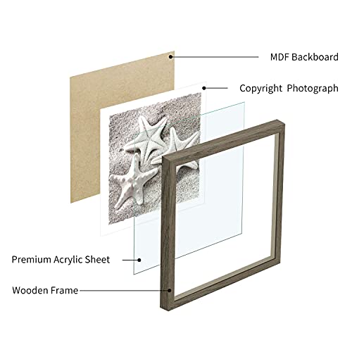 Vintage Beach Framed Wall Art: Coastal Starfish Picture Seaside Conch Prints Ocean Seashell Painting Tropical 3 Pieces Seascape Photo Marine Poster Gallery Artwork For Bathroom Bedroom #TOP2