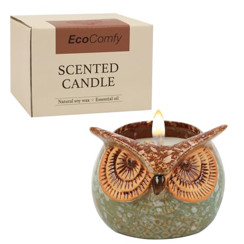 ONBAGLST Owl Scented Candle Gift for Woman with Dried Flowers,350g Soy Citrus Christmas Candle Gift for Woman,30 Hours of Burn Time