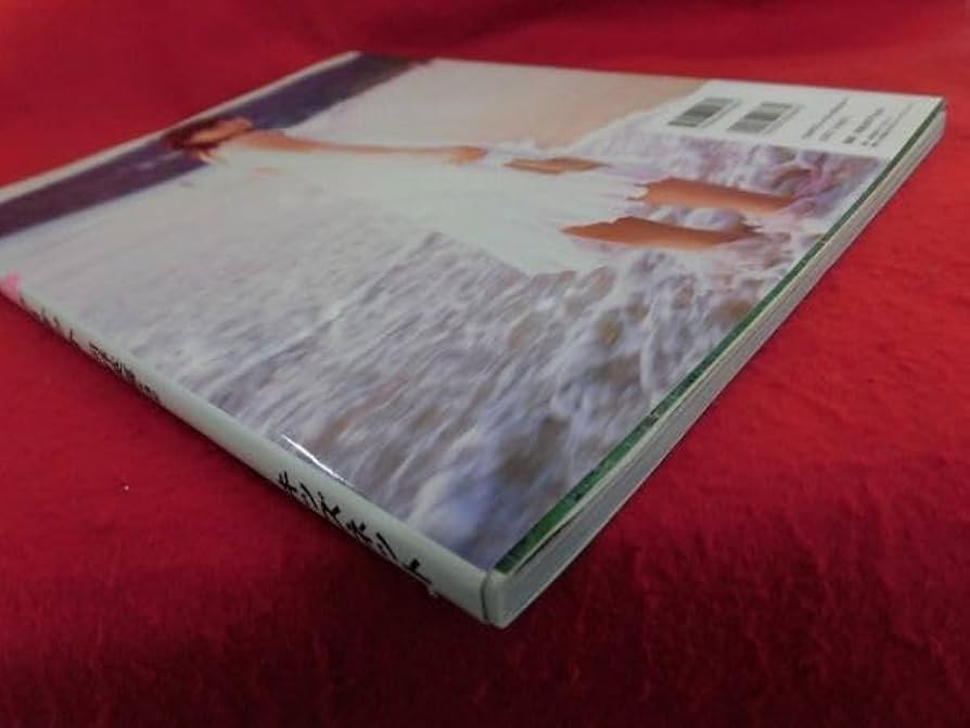 Amazon.co.jp: V178 モーニング娘。亀井絵里写真集「ラブハロ