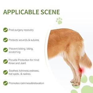 Dog-Recovery-Sleeve-Rear-Right-Leg-Abrasion-Resistant-and-Waterproof-Pet-Prevent-Licking-Wound-Surgery-Suit-Washable-and-Breathable-Dog-Onesie-Cone-Collar-Alternative-S - Cucciolini Doodles Dog-Recovery-Sleeve-Rear-Right-Leg-Abrasion-Resistant-and-Waterproof-Pet-Prevent-Licking-Wound-Surgery-Suit-Washable-and-Breathable-Dog-Onesie-Cone-Collar-Alternative-S