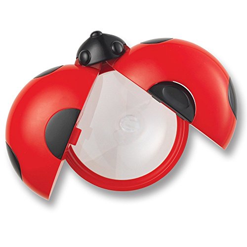 Grands bocaux d'observation sans danger, 12 grands récipients ventilés pour étudier les insectes