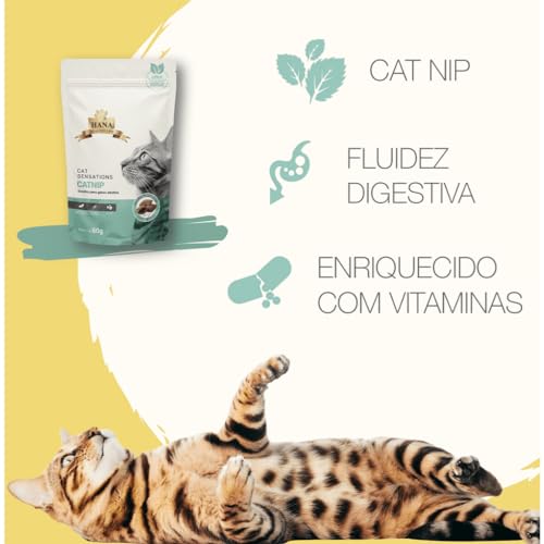 Hana Healthy Life Hana Nuggets Catnip 60G
