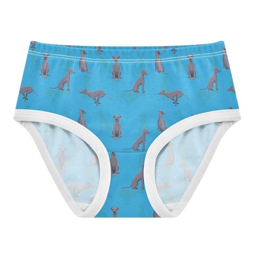 Girls' Underwear Italian Greyhound Cotton Stretch Comfort Toddler Panties