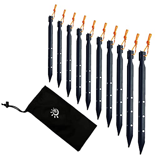 walenbily Lot de 10 piquets de tente en alliage d'aluminium avec sac en nylon et corde pour extérieur, camping et tente 25 cm de long Cover