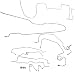 Dorman 919-223 Stainless Steel Brake Line Kit for Select Chevrolet K1500 / GMC K1500 Trucks