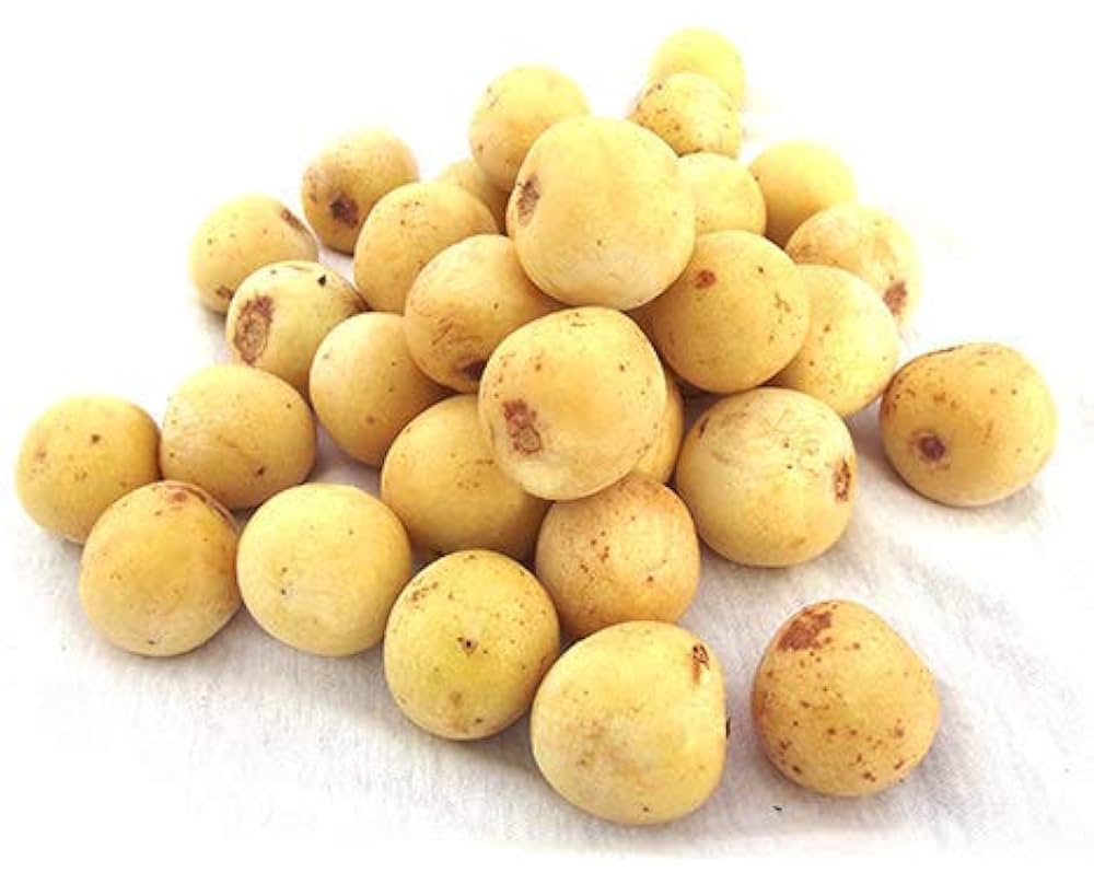 マルーラ　苗 Yahoo!オークション - マルーラ Marula 実生苗 4本 希少 熱帯