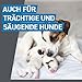 FRONTLINE Spot ON Hund M gegen Zecken, Flöhe & Haarlinge (10 bis 20 kg) - 6X Pipetten für bis zu 6 Monate Schutz - wasserfest