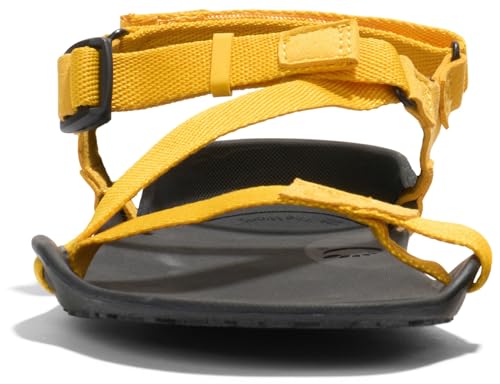 Image of Xero Shoes Women's Z-Trek Barefoot Hiking Sandals