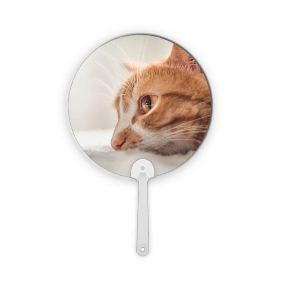 Artisanat d'art no/no animal pure cat éventail portable en plastique rond à motif photographique