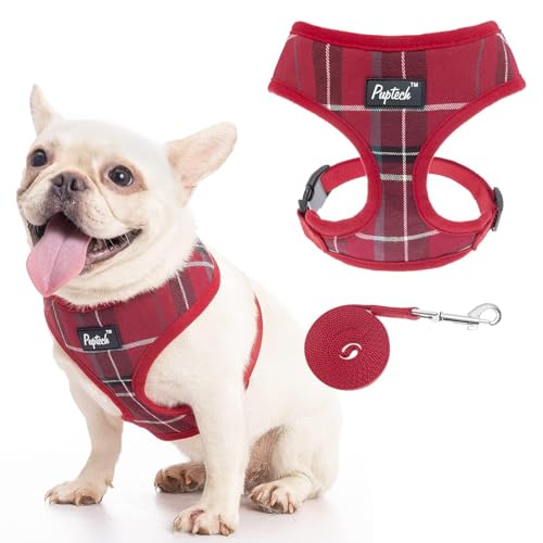 PUPTECK Small Dog Harness and Leash Set No Pull for XS XXS Sized Dogs Puppy