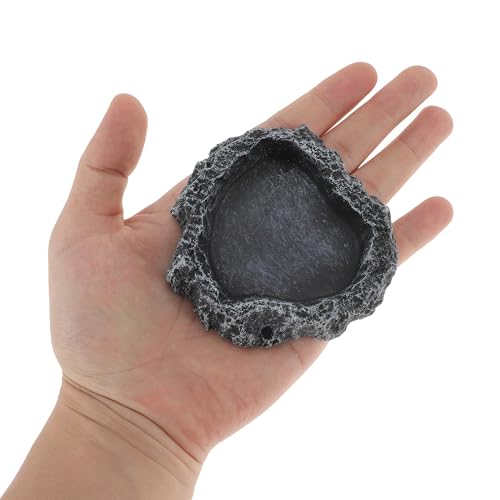 CAPASTEC Prato de comida para répteis, lagarto de resina, prato de comida de réptil, tigela de água