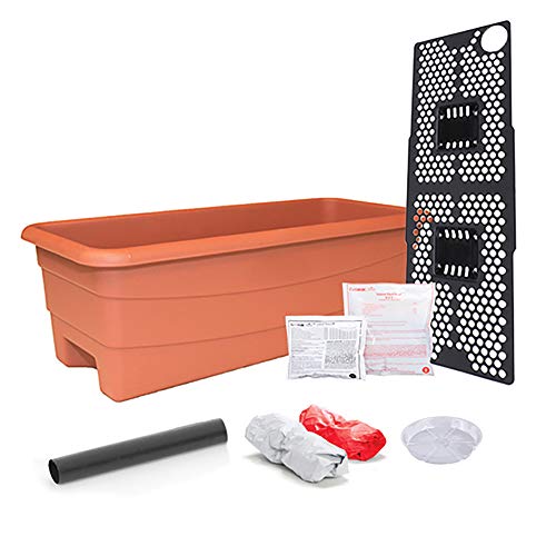Earthbox 80655 Junior Garden Kit, Bio, Terrakotta, Terrakotta