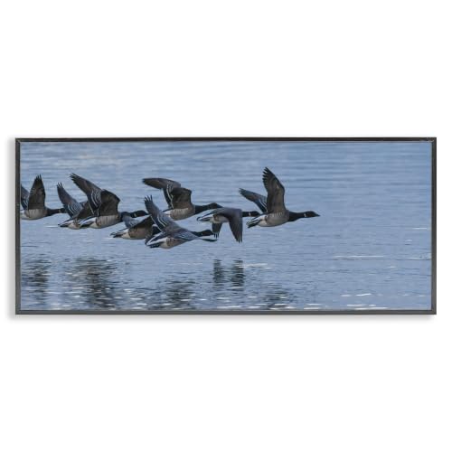 Flying Geese Ocean Bird, 10 x 24 Inch Framed Giclée Print