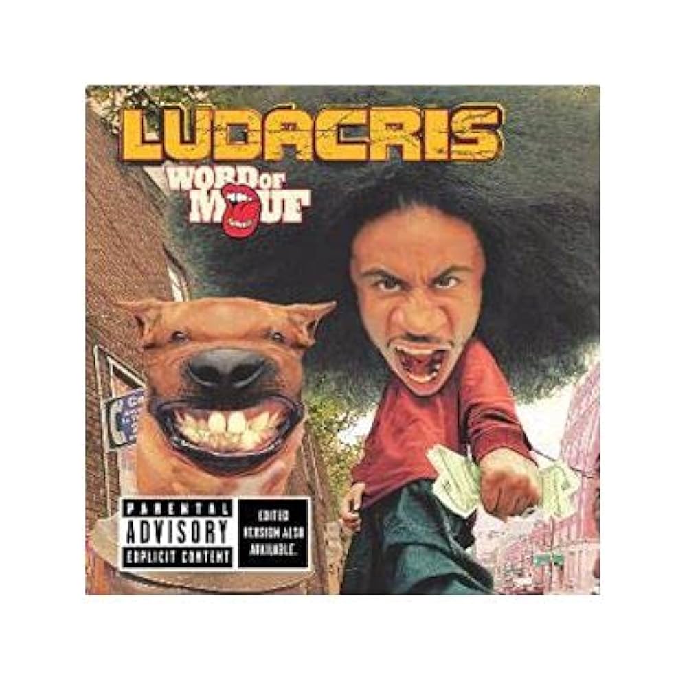 ludacris word of mouf アナログレコード Ludacris Word Of Mouf Vinyl Def Jam Recording 2001 2LP 1st