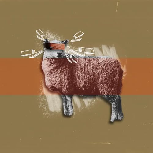 Sin Makes You Stupid