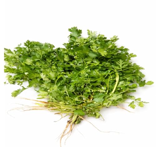 Image of Fresh Coriander Leaves (Local /Nati /Desi) 100g