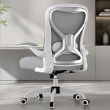 CASASIO Office Desk Chair with Ergonomic Lumbar Support, Extra-Thick Seat Cushion, Flip-up Arms, Breathable Mesh Back, Computer Task Chair for Home Office