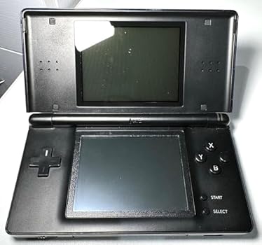 Nintendo Switch DS lite 51sZpE5vjzL.jpg_BO30,255,255,