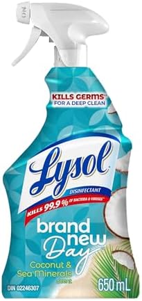 LYSOL ALL PURPOSE CLEANER TRIGGER - New Day Coconut & Sea Minerals 650mL