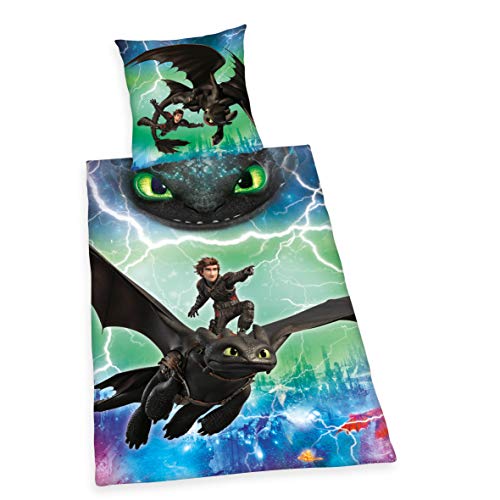 Herding DREAMWORKS DRAGONS Parure de Lit Réversible, Housse de Couette 140 x 200 cm, Taie d'Oreiller 70 x 90 cm, Coton/Renforcé