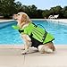 LUMINFLY Small Dog Life Vest with Rescue Handle, Fluorescent Green Pet Swim Vest with Wings, Size S, Adjustable