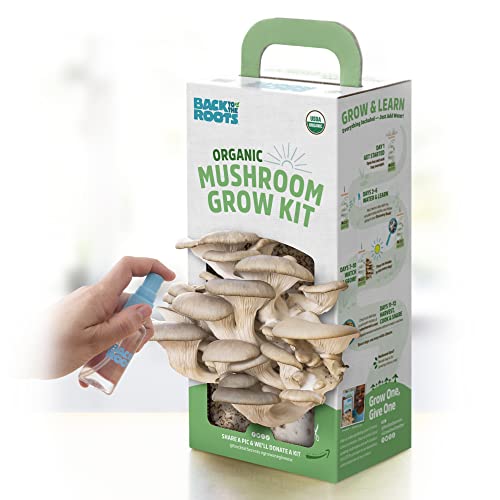 Back To The Roots Organic Mushroom Grow Kit - Oyster And Pink Mushroom 2-Pack Variety - Indoor Non-Gmo Growing Kit - Produces 3-4 Servings And Grows In 10 Days #TOP1