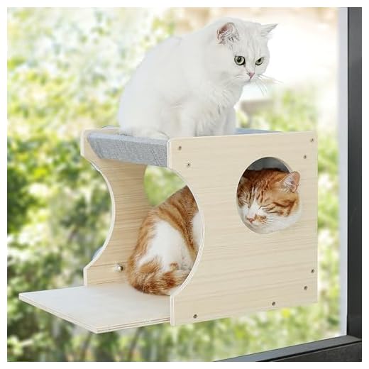 Sturdy Cat Perch with Window View
