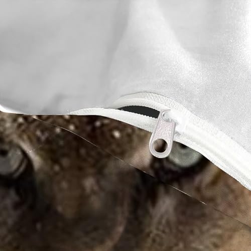 Housse de couette guépard microfibre 3D King 220x240 pour lit double - 5
