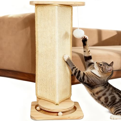 MOYMO JE` LR[i[ XNb`[ C^NeBu{[t Lp \ȃTCUXNb`pbh qL ǃXNb`[ JE`p  ƋveN^[ 25C`